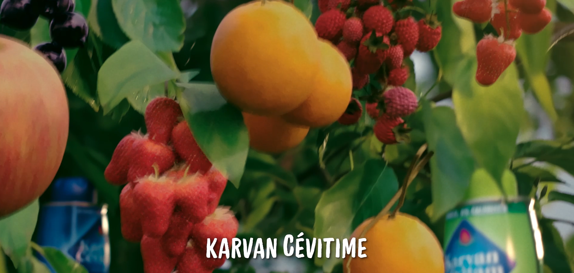 VFX projects for Karvan Cevitam | Karvan Cevitime