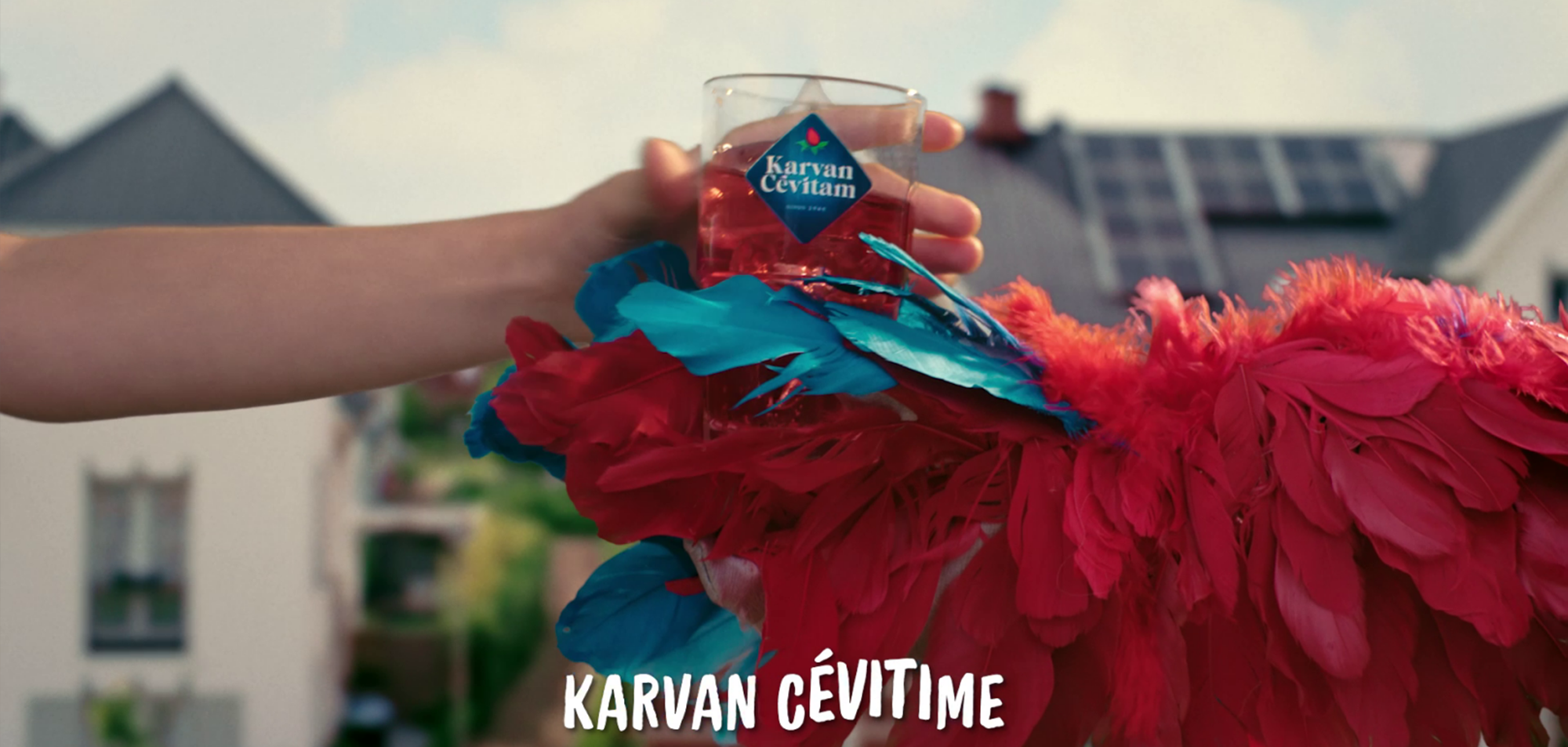 VFX projects for Karvan Cevitam | Karvan Cevitime